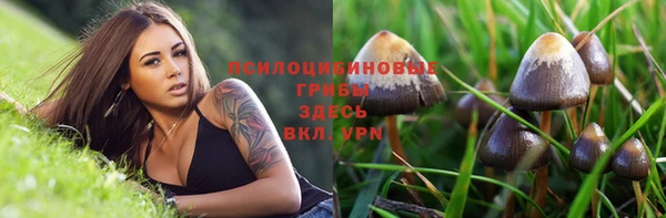 МДПВ Абаза