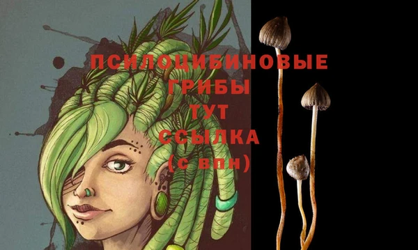 МДПВ Абаза